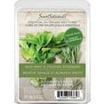 thumbnail image 1 of ScentSationals Scented Wax Cubes Value Pack - Wild Mint & Crushed Rosemary, 1 of 4