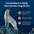 thumbnail image 4 of Blue Buffalo Wilderness High-Protein Natural Dry Food for Senior Dogs, Salmon Recipe, 13-lb. Bag, 4 of 11