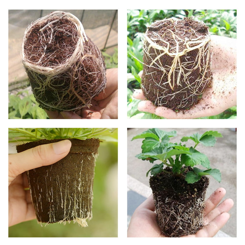 YSMN 100PCS 8" Plastic Plant Flower Pots Nursery Garden Seedlings Starting Pot Container