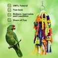 thumbnail image 2 of Parrot Chewing Toys in Multicolor with Natural Wood and Rope, 2 of 4