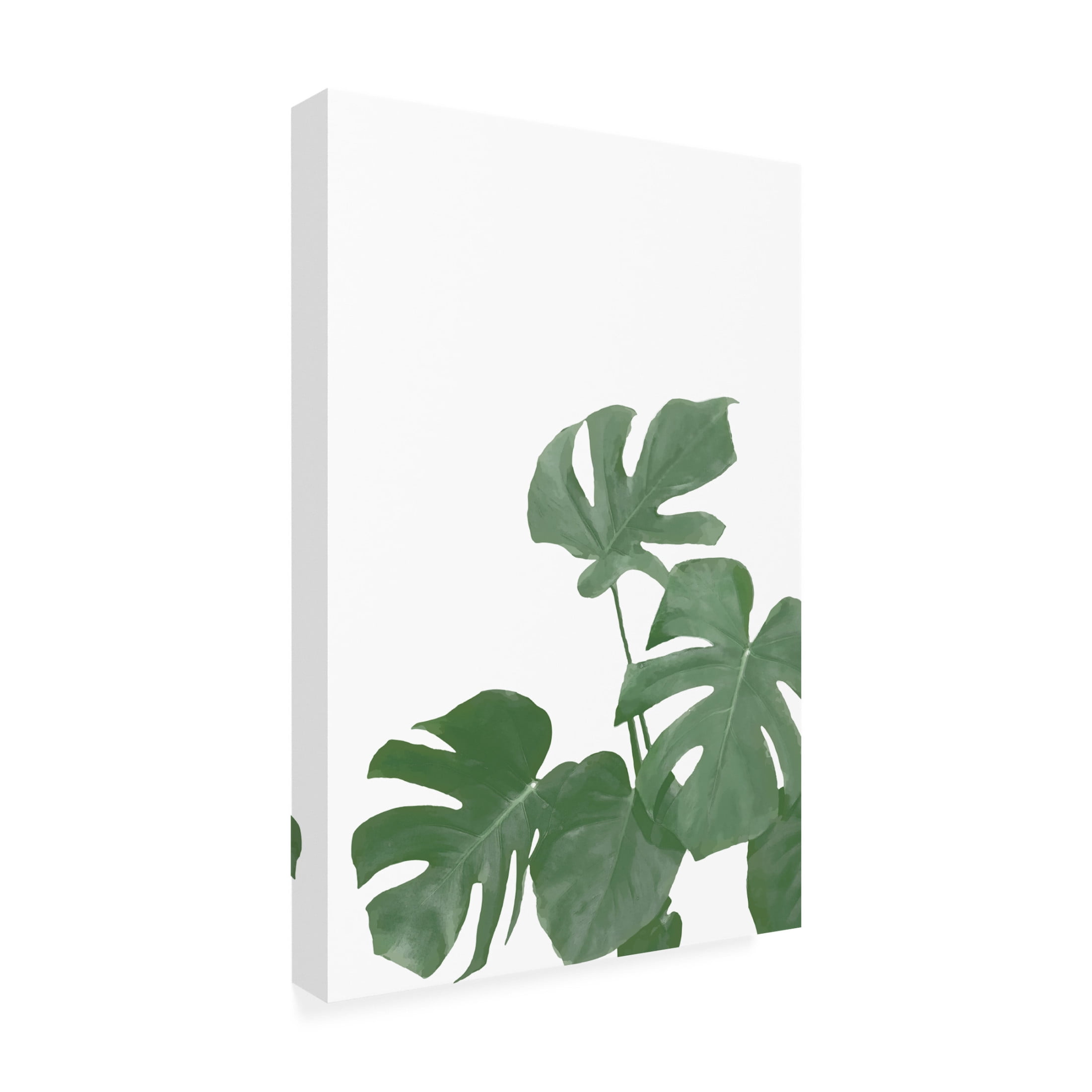Canvas Wall Art - Pictufy Studio Ii 'Monstera Aqua 04' Wall Art for Living Room, Bedroom, or Office Décor by Trademark Fine Art - 22 x 32 Inches