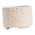 thumbnail image 1 of Maceta de cerámica moderna para flores, contenedor , adorno, jarrón pequeño de bonsái para mesa, decoración de jardín al aire libre, baño Estilo C, 1 of 8