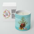 thumbnail image 2 of Carolines Treasures BB9209CDL 3.75 x 3.25 in. Unisex Malaysian Serama Chicken Christmas 10 oz Decorative Soy Candle, Teal, 2 of 5