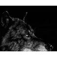 thumbnail image 3 of Chapman, Julie T. 24x20 Black Modern Framed Museum Art Print Titled - Scratchboard Wolf I, 3 of 5