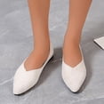 thumbnail image 2 of NOKIO Women’s Suede Pointed Toe Casual Shoes Fashion Solid Color Shallow Flat Shoes Comfortable Low Heel Slip-Resistant Everyday Footwear, 2 of 8
