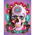 thumbnail image 1 of Cuadros Decorativos (DF4522) Kit de bordado de punto de cruz de pintura de diamante de taladro completo 5D DIY (Skull01) 30x40cm Wdftyju embutido en tela, 1 of 1