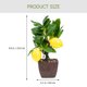 thumbnail image 2 of QUMIIRITY Decorativo Bonsái Artificial Para Multicolor Con Material Premium Para Hogar, 2 of 6