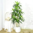 thumbnail image 2 of DSstyles Artificial Plant 4.9ft Brazilian Wood Tree Faux Plants Indoor Tall Fake House Floor Plants Realistic Artificial Trees for Home Office Decor Indoor Outdoor Housewarming Gif, 2 of 9