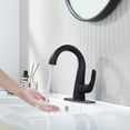 thumbnail image 3 of Wowow Solid Brass Black Single Hole 1-Handle Bathroom Sink Faucet with Double Drain and Pop Up Drain, 3 of 8