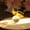 White, variant on Dalrosia Crystal Butterfly Figurine Glass Butterfly with Crystal Ball Base Crystal Animal Collectibles Figurines Gifts for Women