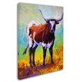 thumbnail image 2 of Trademark Fine Art 'Sizing Up Longhorn' Canvas Art by Marion Rose, 2 of 3