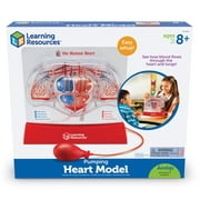 Learning Resources Pumping Heart Model - 1 Piece, Grades 3+ | Ages 8+ Educational Science Kit, Science Education Supplies, Science Teaching Supplies