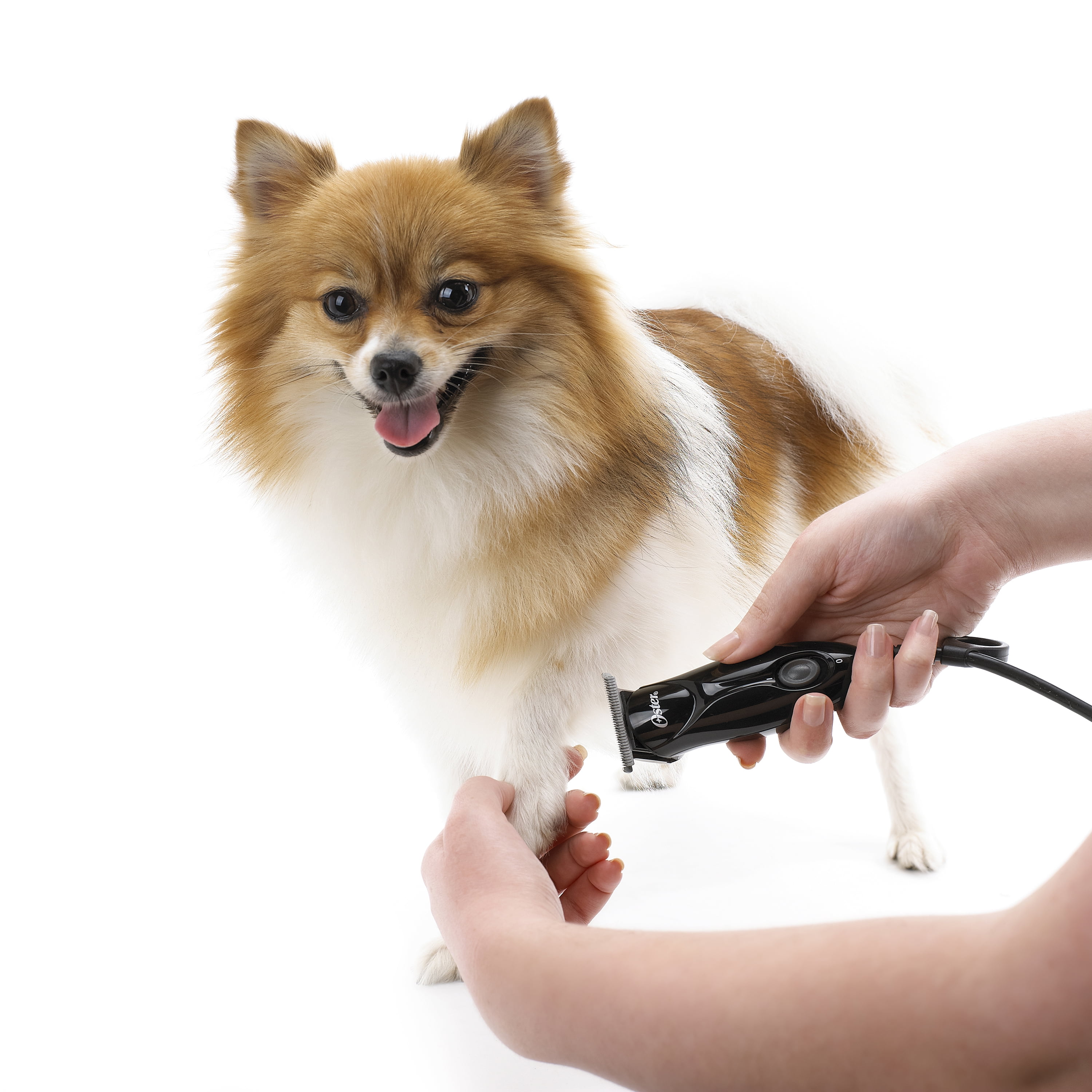 oster animal care pro trimmer