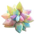 thumbnail image 1 of Birthday Gift Living Room Home Decor Soft Doll Good Quality Sofa Cushion Multicolor Simulation Succulent Plant Pillow, 1 of 2