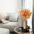 thumbnail image 6 of Tutuviw Orange Bunny Tails Dried Flowers, 16inch Natural Dried Grass, Bunny Tails Dried Flowers for Wedding, Home, Rustic Party, Baby Shower, Christmas Decorations (60 Pcs), 6 of 7