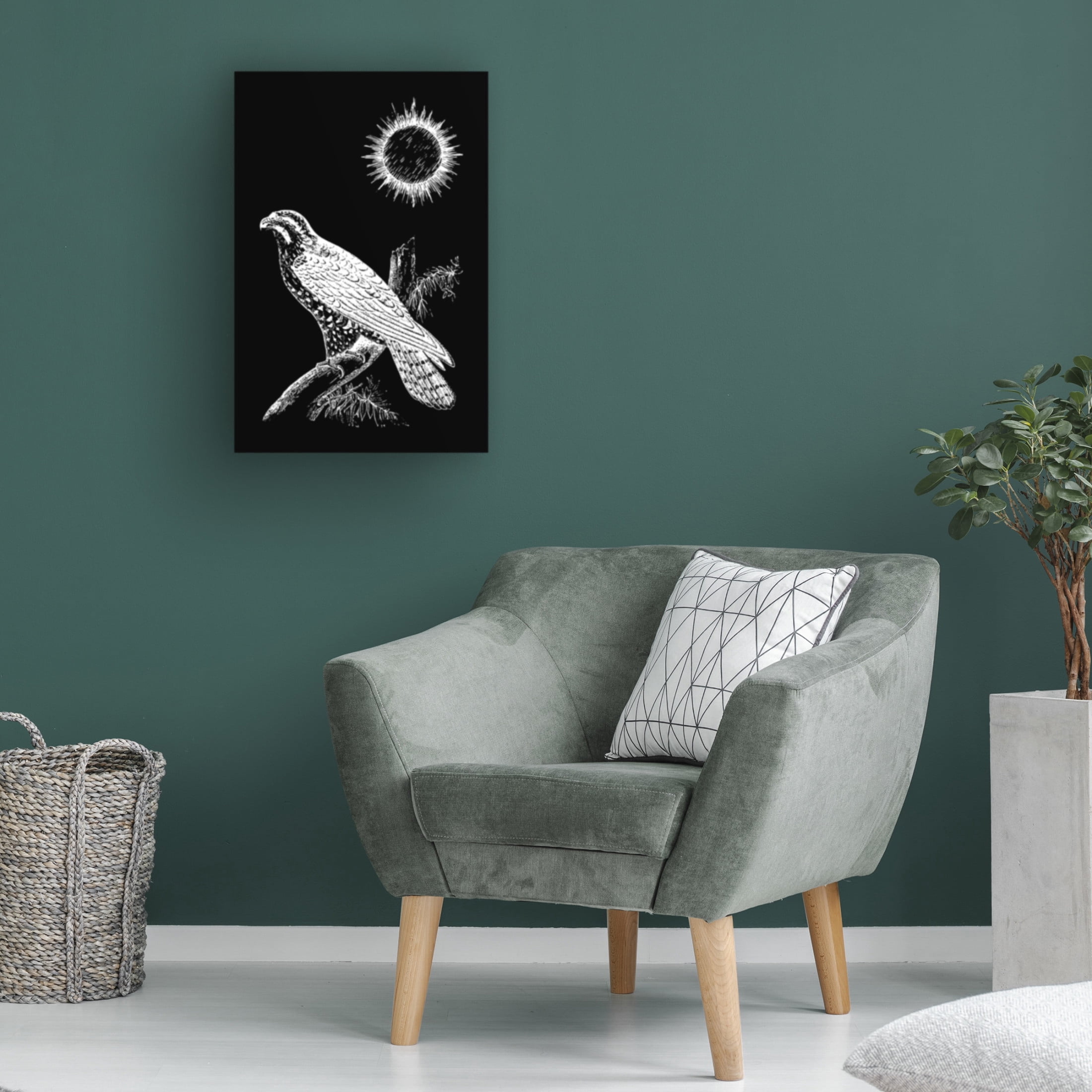 Trademark Fine Art Hussein Abdel Aal Falcon Peregrine Canvas Wall Art