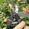 thumbnail image 4 of 8inch Professional Premium Titanium Bypass Pruning Shears, Hand Shears, Garden Shears, 4 of 5