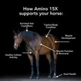 thumbnail image 2 of Suplemento para Animales MVP Amino 15X 1,4 kg Apoyo Muscular, 2 of 6