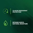 thumbnail image 4 of Crema hidratante OxygenCeuticals (1.7 fl oz/1.69 oz) - Crema facial hidratante intensiva con ácido hialurónico niacinamida y betaína, 4 of 5