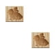 thumbnail image 1 of Injueey Molde para galletas Molde para decoración de galletas en relieve de Hornear Type3 NO3, 1 of 6