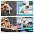 thumbnail image 4 of Dog Pee Pads Pet Training Mat Dog Diapers Puppy Pads Waterproof Absorbent Washable Reusable Pads for Dogs Cats Rabbit, 4 of 4