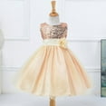 thumbnail image 2 of Uccdo Kids Girls Formal Dresses Flower Girl Sequin Tulle Party Prom Ball Gown Dress 1-10T, 2 of 5
