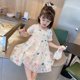 thumbnail image 2 of Verano princesa bebé niñas tutú vestido encaje mariposa manga corta gasa falda niños moda blanco rosa fiesta Casual ropa 2T (etiqueta 100) Gao Jinjia LED, 2 of 2