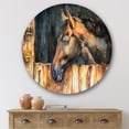 thumbnail image 2 of Designart 'Close Up Of The Head of A Horse In Stable' Farmhouse Circle Metal Wall Art 36x36 - Disc of 36, 2 of 5
