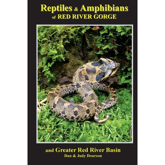 Reptiles and Amphibians of Red River Gorge & Greater Red River Basin, (Paperback)