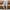 Blue, variant on Floleo Clearance Ripped Jeans For Women Plus Size Stretch Hight Waisted Solid Color Trousers Casual Pants With Pockets