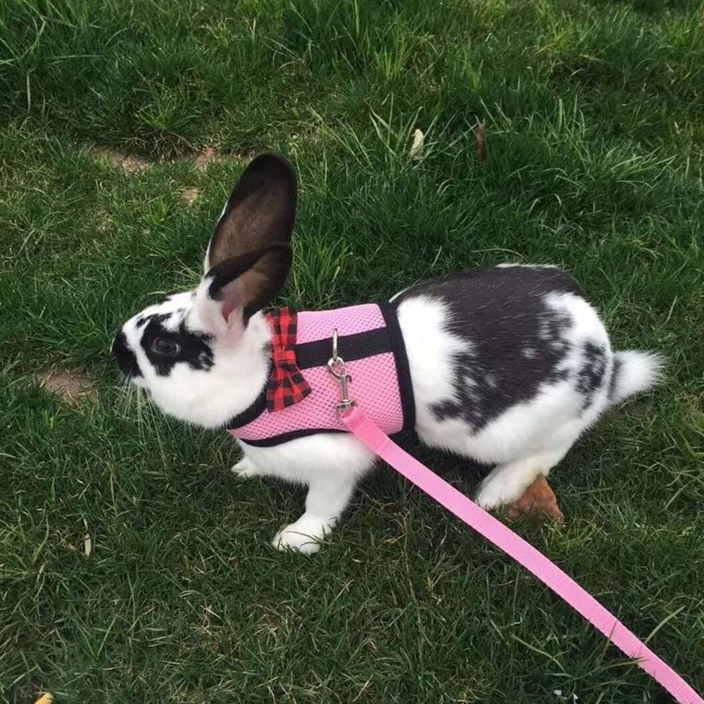 Guinea Pig Harness and Leash Soft Mesh Small Pet Harness with Bowknot Bell No Pulling Comfort Padded Vest for Guinea Pigs Ferre