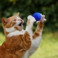 thumbnail image 1 of Pelota de juguete interactiva inteligente móvil para gatos bola rodante automóvil con luz colorida Azul Fernando, 1 of 8