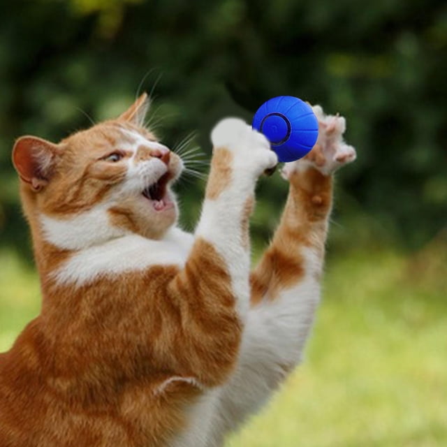 Pelota de juguete interactiva inteligente móvil para gatos bola rodante automóvil con luz colorida Azul Fernando