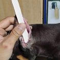 thumbnail image 2 of 1 juego de soportes para orejas de perro, varillas correctoras para orejas de perro con cintas adhesivas., 2 of 6