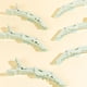 thumbnail image 3 of Clips De Garra 6 uds. Abrazaderas de plástico duraderas, pinzas de cocodrilo con diseño de doble resorte, accesorios para el cabello Tmvgtek Cuidado Belleza, 3 of 4
