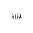 thumbnail image 2 of Sage Premium Recurve Carbon Arrows 31.5" - 35-45lb - 6 Pack- Green, 2 of 2