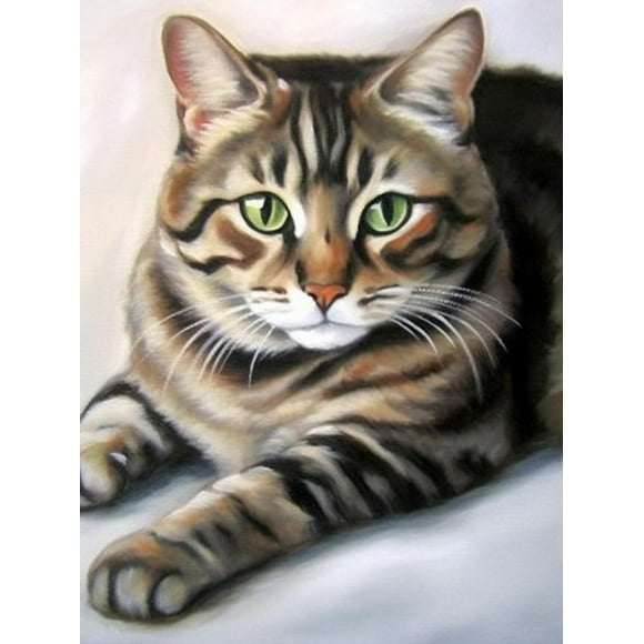 LAICAIW 5D Diamond Painting Kits Cat, DIY Diamond Art Animal Kits Paint with Diamonds Full Round Drill Crystal Rhinestone Embroidery Used for Home Office Wall Decoration 12x16inch (30x40cm)