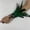 Green, variant on Vintage Gothic Feather Wrist Cuffs Lace Gloves Fingerless Costume Accessory for Masquerade
