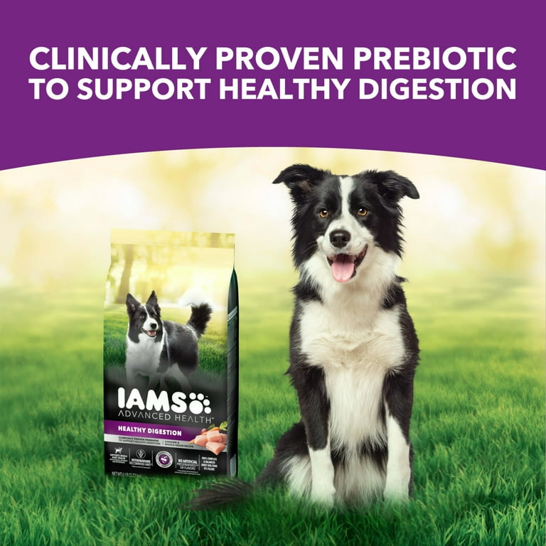 Iams Advanced Health Healthy Digestion with Real Chicken Dry Dog