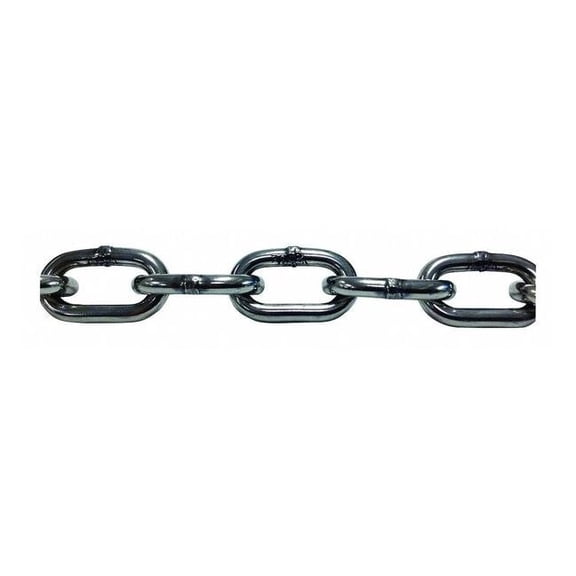 Pewag Straight Chain,304 SS,5'L,410 lb 4893/5