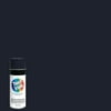 ColorPlace Flat Spray Paint, Black