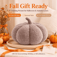 thumbnail image 6 of Halloween Plush Pumpkin Pillow, Gray Decorative Throw Cushion with Gray Stem, Fall Sofa Couch, Cozy Home Decor & Fall Gift, 6 of 7