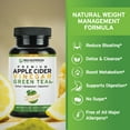 thumbnail image 7 of Trio Nutrition Apple Cider Vinegar Capsules with Green Tea - Sugar Free Apple Cider Vinegar Pills With the "Mother" for Body Cleanse, Immune, Weight Management & Metabolism Support*, 7 of 7