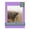 Pansy Purple, variant on Pansy Purple Picture Frame Mat for 12x16 Frames - Fits 10x12 Photos - 1 Mat