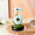 thumbnail image 2 of Valentines Day Flower Gifts for Women Sunflowers in Glass Dome, Forever Sunflower Birthday Gift for Mom Grandma Sun Flower Lamp Gifts for Girls Anniversary Mothers Day Thank You Gifts, 2 of 6