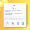 thumbnail image 2 of G's Breeze Lemon Lime Air Spray – Zesty lemon-lime scent that energizes and brightens any space with clean, lasting freshness., 2 of 9