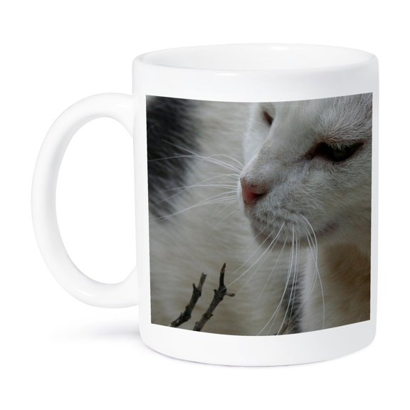 3dRose, Cat Black and White Cat, 11oz Mug