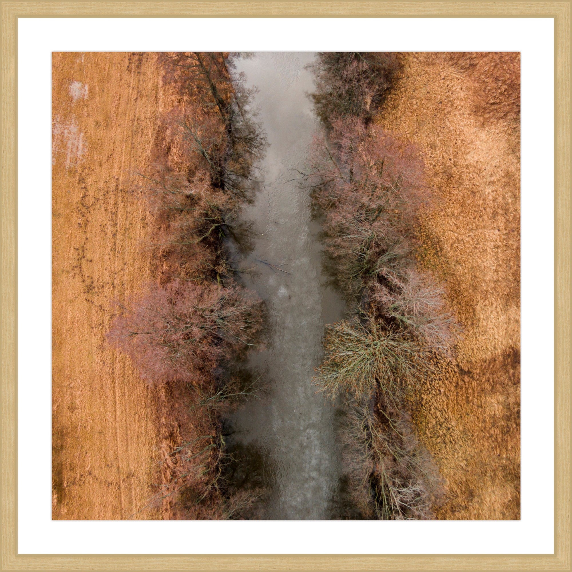 Marmont Hill "Marshy Path" by Karolis Janulis Framed Painting Art Print