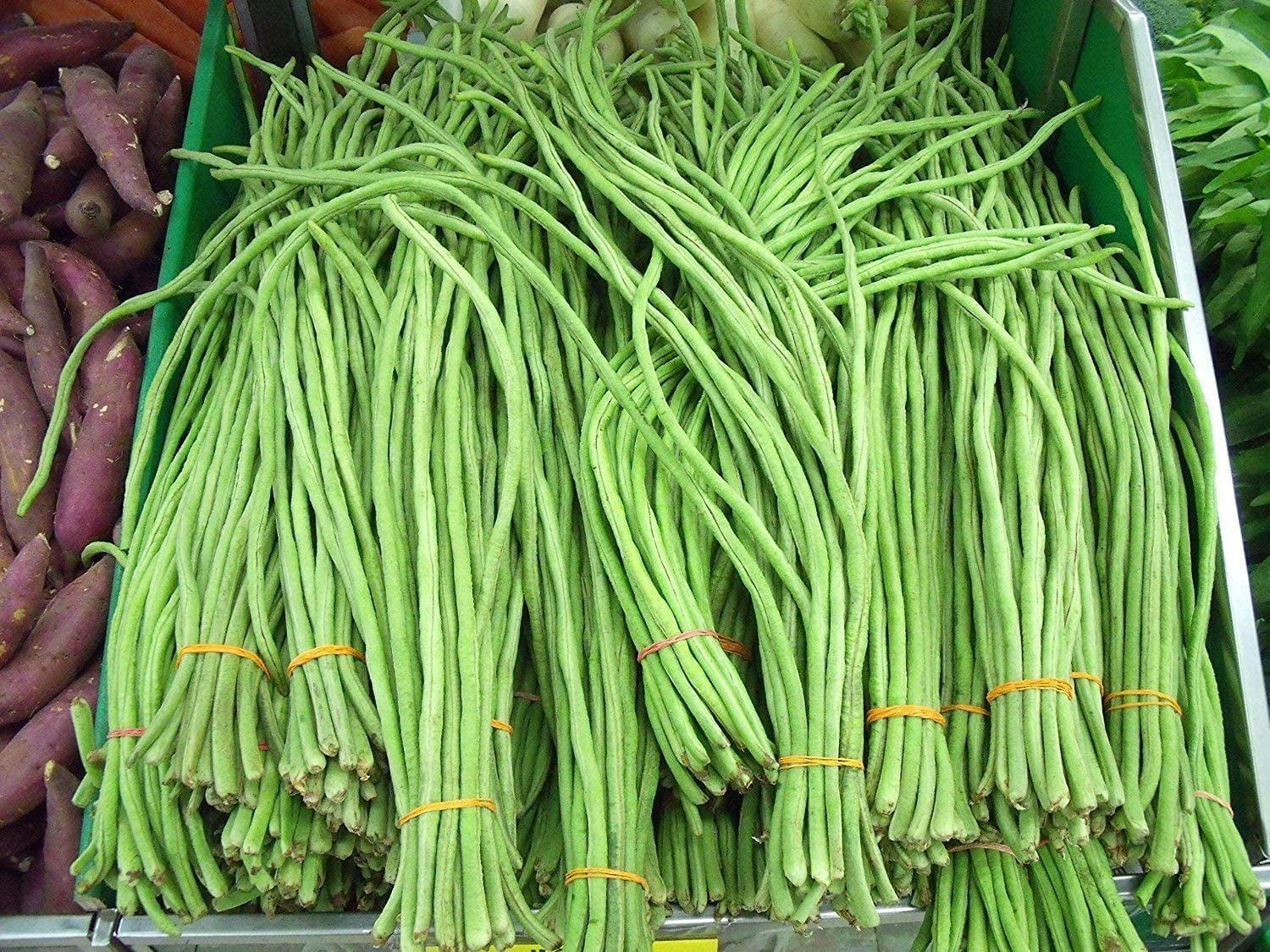 Asian Long Bean Seeds for Planting (30 Seeds) - Fast Growing Variety Sweet Tender and Delicious - Ships from Iowa, USA