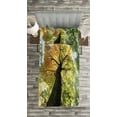 thumbnail image 3 of Ambesonne Tree Quilted Bedspread Set 2 Pcs, Forest Autumn Growth Eco, Twin Size, Dark Brown Pale Green, 3 of 3